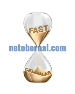 netobernal.com is for sale (contactame para una offerta)