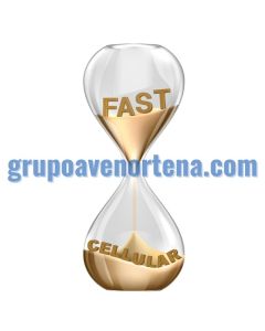 grupoavenortena.com if for sale (contactame para una offerta)