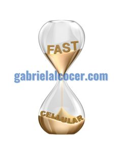gabrielalcocer.com is for sale (email me for a offer)