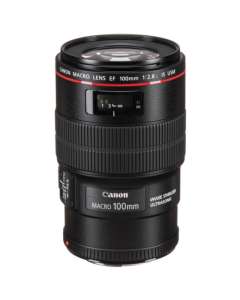 Canon EF 100mm f/2.8L Macro IS USM Lens (Pre-owned)