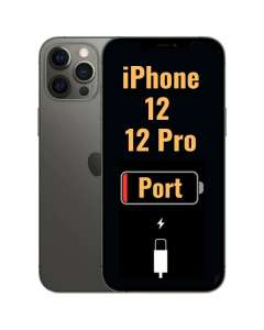 Charging Port with Flex Cable for iPhone 12 / 12 Pro (High Quality) - Black