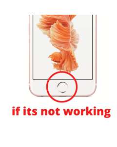 Universal Restore Home Button for iPhone SE (2020) 8 Plus 8 7 Plus 7 - Silver finger print wont work after replace it