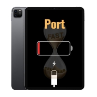 Charging Port for iPad Pro 11 (2021) Pro 11 (2022) Pro 12.9 (5th Gen) Pro 12.9 (6th Gen) - Space Gray A2378 A2461 A2379 A2462 A2436 A2764 A2437 A2766 A2377 A2459 A2301 A2460 A2759 A2435 A2761 A2762
